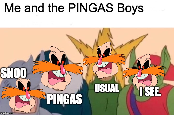 Me And The Boys Meme | Me and the PINGAS Boys SNOO PINGAS USUAL I SEE. | image tagged in memes,me and the boys,pingas | made w/ Imgflip meme maker