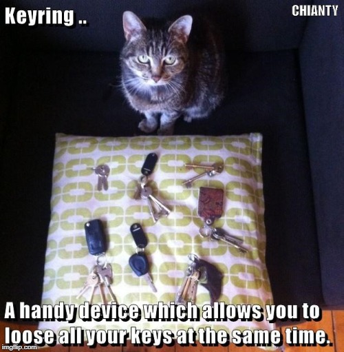 Keyring | CHIANTY | image tagged in y u no | made w/ Imgflip meme maker