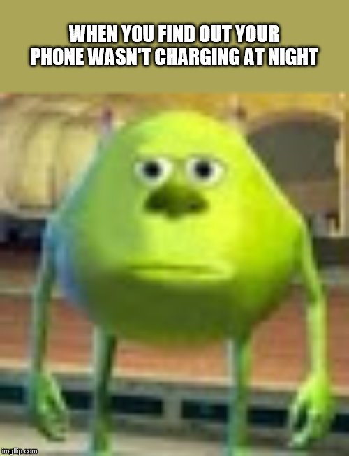 Sully Wazowski | WHEN YOU FIND OUT YOUR PHONE WASN'T CHARGING AT NIGHT | image tagged in sully wazowski | made w/ Imgflip meme maker