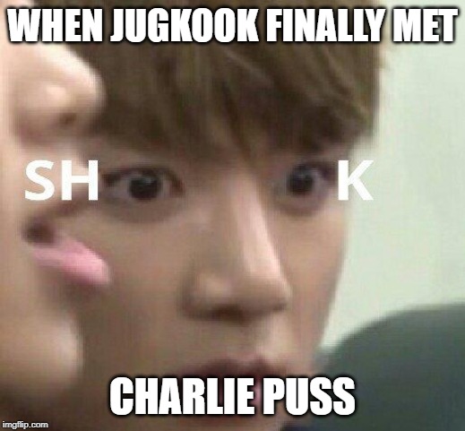 jungshook | WHEN JUGKOOK FINALLY MET; CHARLIE PUSS | image tagged in charlie puth,bts,shook,kpop | made w/ Imgflip meme maker