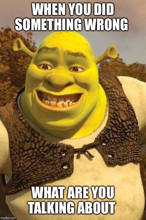 Smiling Shrek | WHEN YOU DID SOMETHING WRONG; WHAT ARE YOU TALKING ABOUT | image tagged in smiling shrek | made w/ Imgflip meme maker