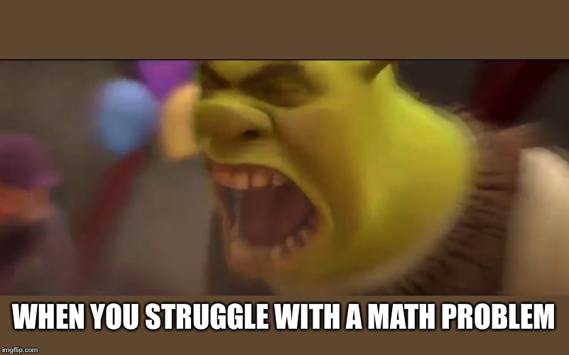 Shrek Screaming | WHEN YOU STRUGGLE WITH A MATH PROBLEM | image tagged in shrek screaming | made w/ Imgflip meme maker