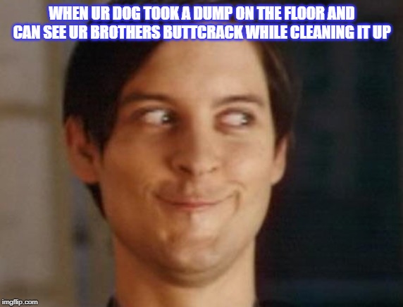 Spiderman Peter Parker Meme | WHEN UR DOG TOOK A DUMP ON THE FLOOR AND CAN SEE UR BROTHERS BUTTCRACK WHILE CLEANING IT UP | image tagged in memes,spiderman peter parker | made w/ Imgflip meme maker