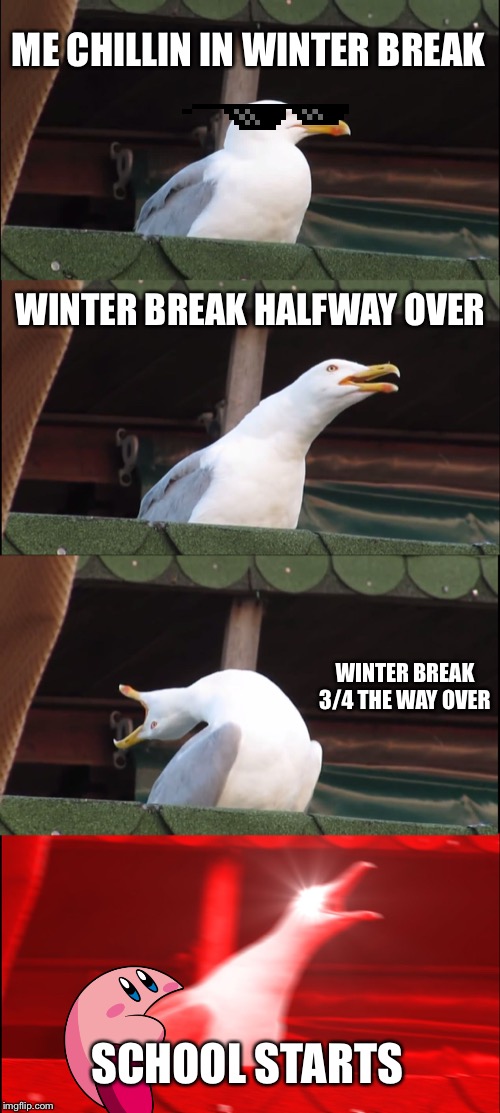 Inhaling Seagull | ME CHILLIN IN WINTER BREAK; WINTER BREAK HALFWAY OVER; WINTER BREAK 3/4 THE WAY OVER; SCHOOL STARTS | image tagged in memes,inhaling seagull | made w/ Imgflip meme maker