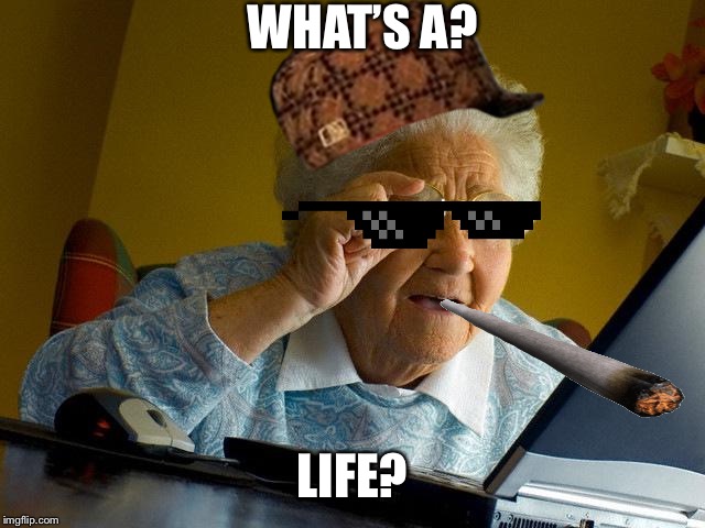 Grandma Finds The Internet | WHAT’S A? LIFE? | image tagged in memes,grandma finds the internet | made w/ Imgflip meme maker