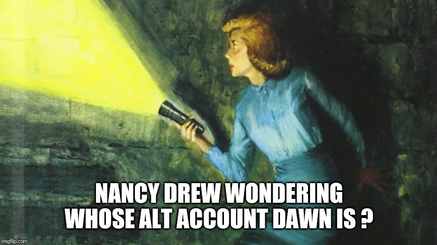 Nancy Drew Flashlight | NANCY DREW WONDERING WHOSE ALT ACCOUNT DAWN IS ? | image tagged in nancy drew flashlight | made w/ Imgflip meme maker