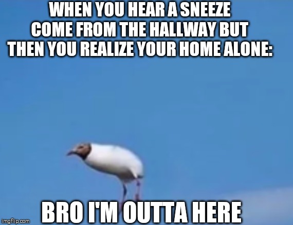 Do ghosts that haunt your house need to sneeze? |  WHEN YOU HEAR A SNEEZE COME FROM THE HALLWAY BUT THEN YOU REALIZE YOUR HOME ALONE:; BRO I'M OUTTA HERE | image tagged in memes,funny,home alone,bro im outta here | made w/ Imgflip meme maker