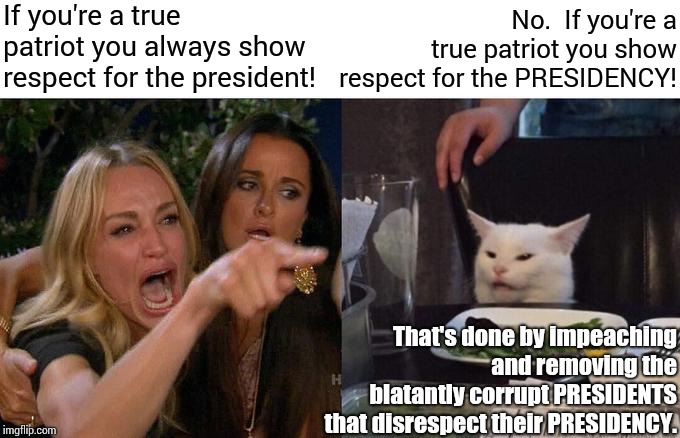 The President vs The Presidency | If you're a true patriot you always show respect for the president! No.  If you're a true patriot you show respect for the PRESIDENCY! That's done by impeaching and removing the blatantly corrupt PRESIDENTS that disrespect their PRESIDENCY. | image tagged in memes,woman yelling at cat,presidency,president,patriotism,constitution | made w/ Imgflip meme maker