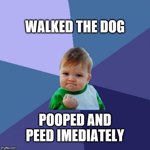 Success Kid Meme | WALKED THE DOG; POOPED AND PEED IMEDIATELY | image tagged in memes,success kid | made w/ Imgflip meme maker