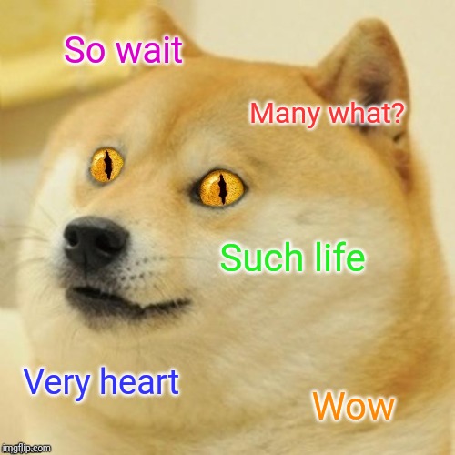 So wait Many what? Such life Very heart Wow | made w/ Imgflip meme maker