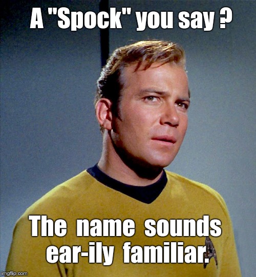 For the next time your GF says "HOW COULD YOU FORGET?!?" | A "Spock" you say ? The  name  sounds  ear-ily  familiar. | image tagged in thoughtful captain kirk contemplative,mr spock,funny memes,rick75230,star trek | made w/ Imgflip meme maker
