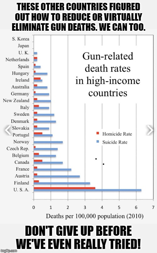 Conservatives are so willing to throw in the towel on guns before even really trying. Pick any of these countries as a model! | THESE OTHER COUNTRIES FIGURED OUT HOW TO REDUCE OR VIRTUALLY ELIMINATE GUN DEATHS. WE CAN TOO. DON'T GIVE UP BEFORE WE'VE EVEN REALLY TRIED! | image tagged in gun deaths comparison by country 2010,gun rights,gun laws,gun loving conservative,conservative logic,gun control | made w/ Imgflip meme maker