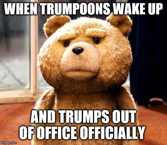 TED Meme | WHEN TRUMPOONS WAKE UP; AND TRUMPS OUT OF OFFICE OFFICIALLY | image tagged in memes,ted | made w/ Imgflip meme maker
