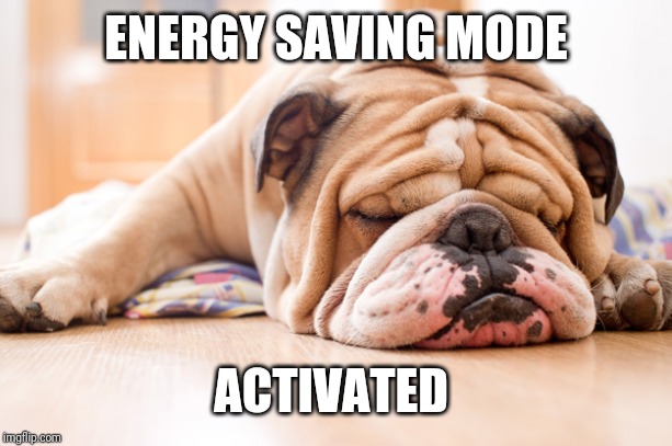ssssshhhhh | ENERGY SAVING MODE; ACTIVATED | image tagged in english bulldog | made w/ Imgflip meme maker