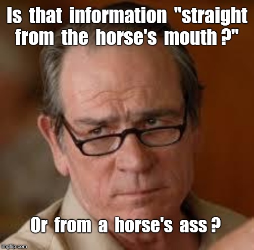HORSE ANATOMY 101 | Is  that  information  "straight
from  the  horse's  mouth ?"; Or  from  a  horse's  ass ? | image tagged in my face when someone asks a stupid question,funny memes,rick75230,oh really | made w/ Imgflip meme maker