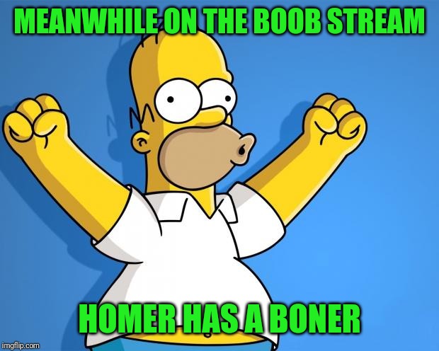 Woohoo Homer Simpson | MEANWHILE ON THE BOOB STREAM HOMER HAS A BONER | image tagged in woohoo homer simpson | made w/ Imgflip meme maker