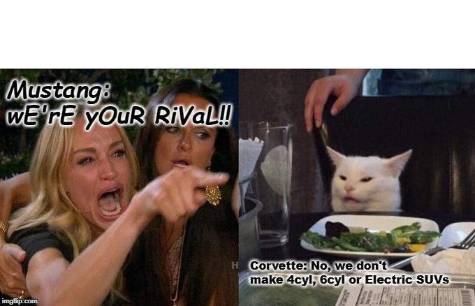 Woman Yelling At Cat Meme | Mustang: wE'rE yOuR RiVaL!! Corvette: No, we don't make 4cyl, 6cyl or Electric SUVs | image tagged in memes,woman yelling at cat | made w/ Imgflip meme maker