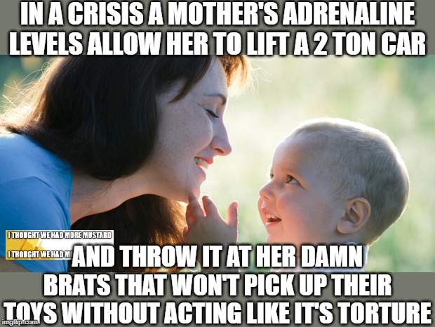 Mother's Love To Throw Cars | IN A CRISIS A MOTHER'S ADRENALINE LEVELS ALLOW HER TO LIFT A 2 TON CAR; AND THROW IT AT HER DAMN BRATS THAT WON'T PICK UP THEIR TOYS WITHOUT ACTING LIKE IT'S TORTURE | image tagged in mother,baby | made w/ Imgflip meme maker