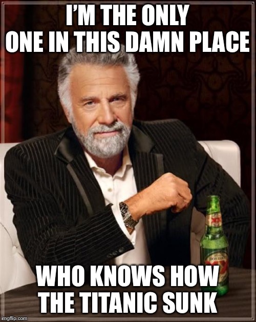 The Most Interesting Man In The World | I’M THE ONLY ONE IN THIS DAMN PLACE; WHO KNOWS HOW THE TITANIC SUNK | image tagged in memes,the most interesting man in the world | made w/ Imgflip meme maker