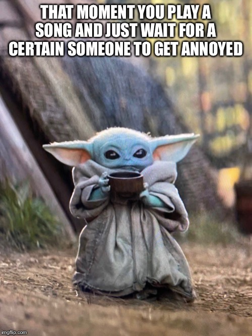 BABY YODA TEA | THAT MOMENT YOU PLAY A SONG AND JUST WAIT FOR A CERTAIN SOMEONE TO GET ANNOYED | image tagged in baby yoda tea | made w/ Imgflip meme maker