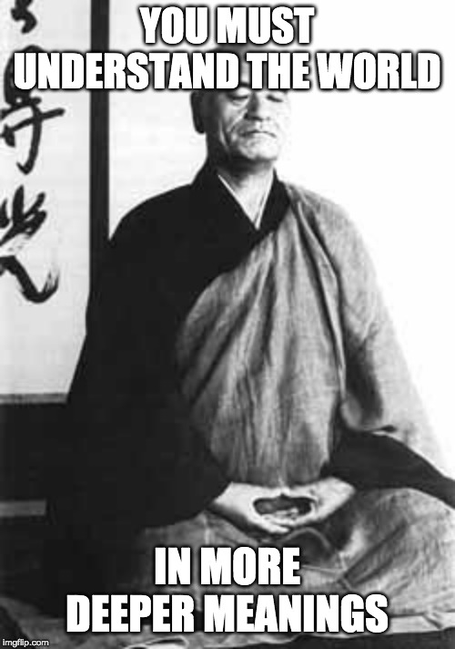 Zen master | YOU MUST UNDERSTAND THE WORLD IN MORE DEEPER MEANINGS | image tagged in zen master | made w/ Imgflip meme maker