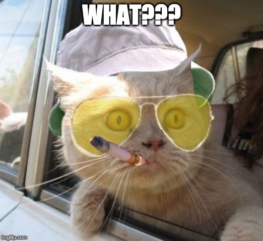Fear And Loathing Cat | WHAT??? | image tagged in memes,fear and loathing cat | made w/ Imgflip meme maker