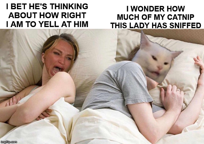 Woman Got Into My Catnip | I WONDER HOW MUCH OF MY CATNIP THIS LADY HAS SNIFFED; I BET HE'S THINKING ABOUT HOW RIGHT I AM TO YELL AT HIM | image tagged in i bet he's thinking about other women,woman yelling at cat,memes,catnip,first world problems,one does not simply | made w/ Imgflip meme maker