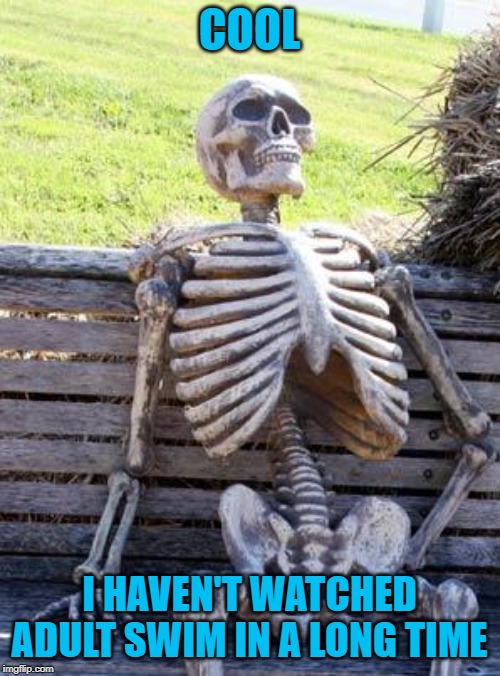 Waiting Skeleton Meme | COOL I HAVEN'T WATCHED ADULT SWIM IN A LONG TIME | image tagged in memes,waiting skeleton | made w/ Imgflip meme maker