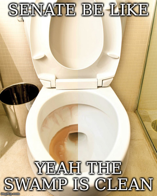 half cleaned toilet | SENATE BE LIKE; YEAH THE SWAMP IS CLEAN | image tagged in half cleaned toilet | made w/ Imgflip meme maker