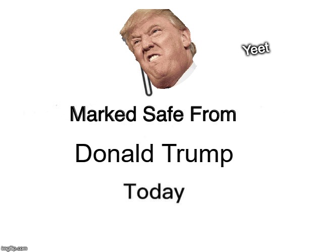 Marked Safe From | Yeet; Donald Trump | image tagged in memes,marked safe from | made w/ Imgflip meme maker