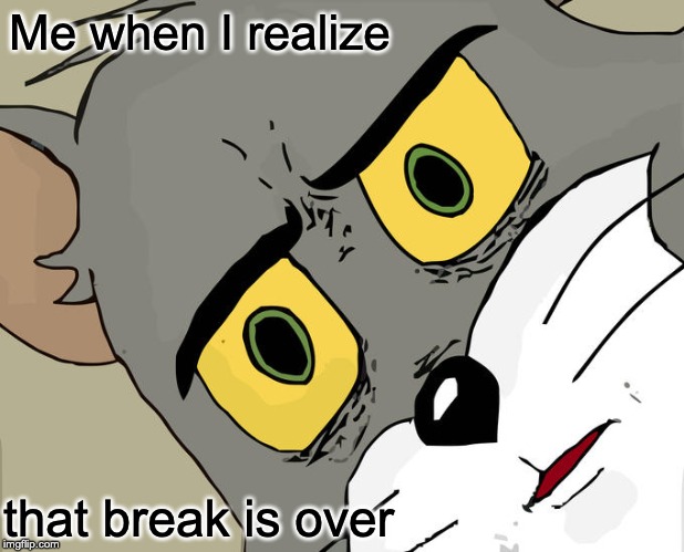 Unsettled Tom Meme | Me when I realize; that break is over | image tagged in memes,unsettled tom | made w/ Imgflip meme maker