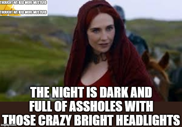 Those Darn Headlights That I Hate | THE NIGHT IS DARK AND FULL OF ASSHOLES WITH THOSE CRAZY BRIGHT HEADLIGHTS | image tagged in the night is dark and full of terrors | made w/ Imgflip meme maker