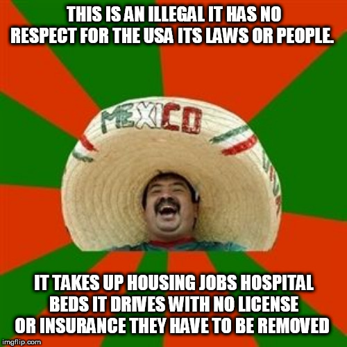 succesful mexican | THIS IS AN ILLEGAL IT HAS NO RESPECT FOR THE USA ITS LAWS OR PEOPLE. IT TAKES UP HOUSING JOBS HOSPITAL BEDS IT DRIVES WITH NO LICENSE OR INSURANCE THEY HAVE TO BE REMOVED | image tagged in succesful mexican | made w/ Imgflip meme maker