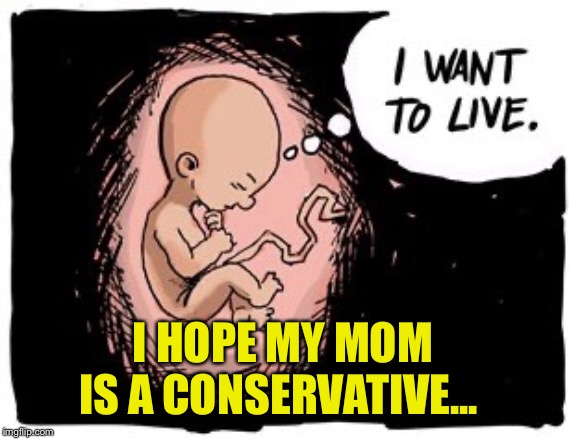 I want to live... | I HOPE MY MOM IS A CONSERVATIVE... | image tagged in i want to live,i hope my mom is a conservative,baby,human rights,right to life,declaration of independence,Republican | made w/ Imgflip meme maker