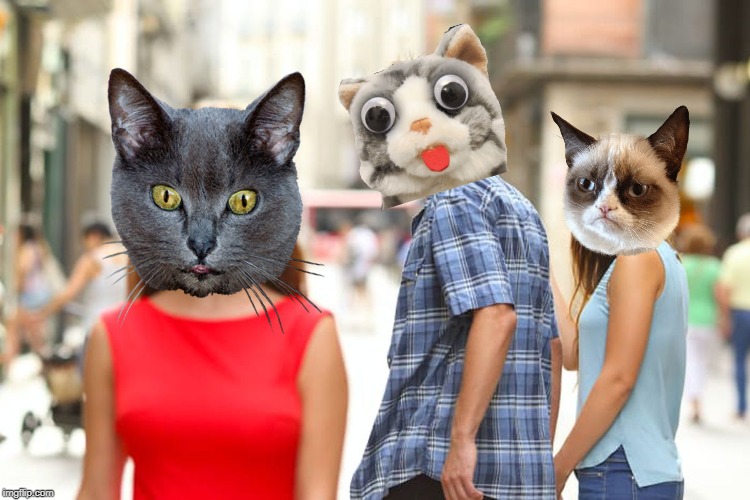 Distracted Boyfriend | image tagged in memes,distracted boyfriend | made w/ Imgflip meme maker