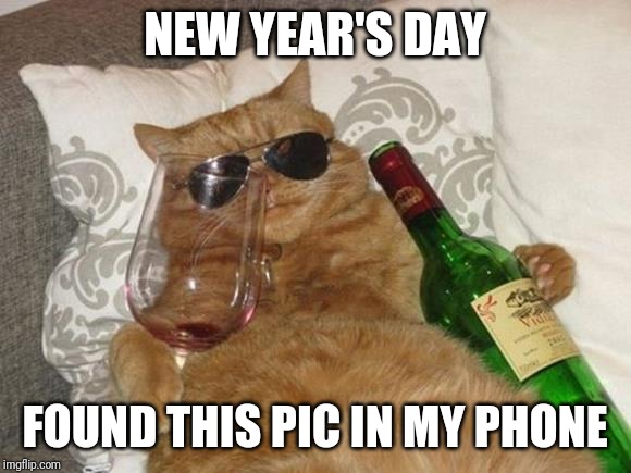 Funny Cat Birthday | NEW YEAR'S DAY; FOUND THIS PIC IN MY PHONE | image tagged in funny cat birthday | made w/ Imgflip meme maker