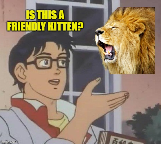 Dumb Kid |  IS THIS A FRIENDLY KITTEN? | image tagged in memes,is this a pigeon,lion,kitten,lol so funny | made w/ Imgflip meme maker