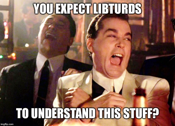 Good Fellas Hilarious Meme | YOU EXPECT LIBTURDS TO UNDERSTAND THIS STUFF? | image tagged in memes,good fellas hilarious | made w/ Imgflip meme maker