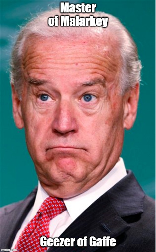 Joe Biden | Master of Malarkey; Geezer of Gaffe | image tagged in joe biden | made w/ Imgflip meme maker