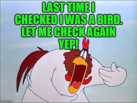 foghorn | LAST TIME I CHECKED I WAS A BIRD.
LET ME CHECK AGAIN
YEP! | image tagged in foghorn | made w/ Imgflip meme maker
