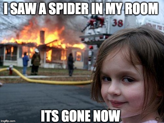 Disaster Girl Meme | I SAW A SPIDER IN MY ROOM; ITS GONE NOW | image tagged in memes,disaster girl | made w/ Imgflip meme maker