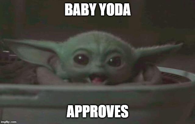 Baby Yoda Surprised | BABY YODA; APPROVES | image tagged in baby yoda surprised | made w/ Imgflip meme maker