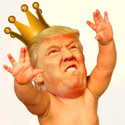 High Quality Baby trump king Blank Meme Template