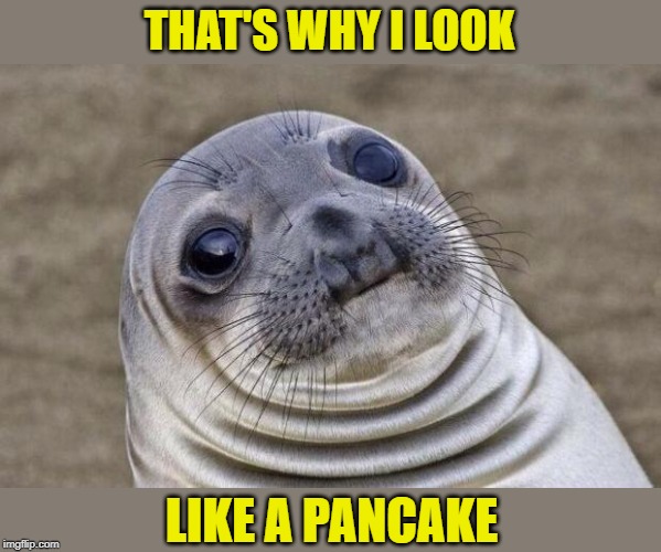 Awkward Moment Sealion Meme | THAT'S WHY I LOOK LIKE A PANCAKE | image tagged in memes,awkward moment sealion | made w/ Imgflip meme maker