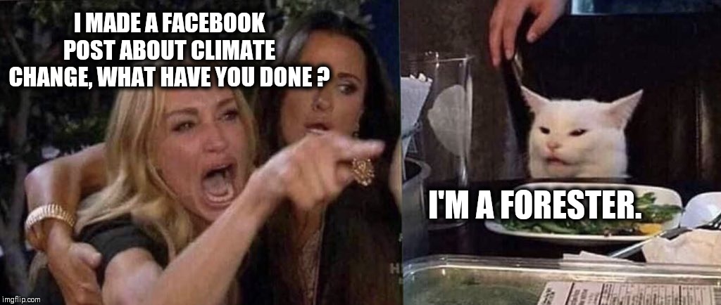 Reforestation | I MADE A FACEBOOK POST ABOUT CLIMATE CHANGE, WHAT HAVE YOU DONE ? I'M A FORESTER. | image tagged in woman yelling at cat | made w/ Imgflip meme maker
