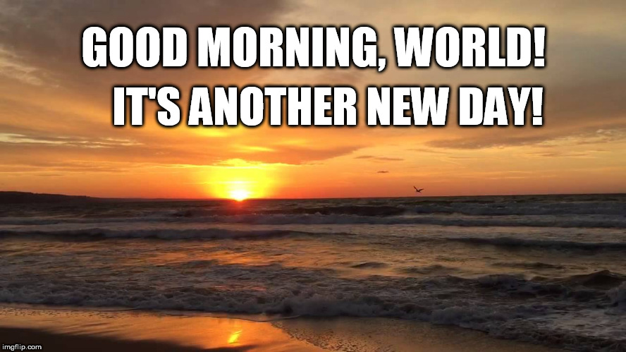 GOOD MORNING, WORLD! IT'S ANOTHER NEW DAY! | image tagged in morning,optimism,sunrise,beach,ocean,world | made w/ Imgflip meme maker