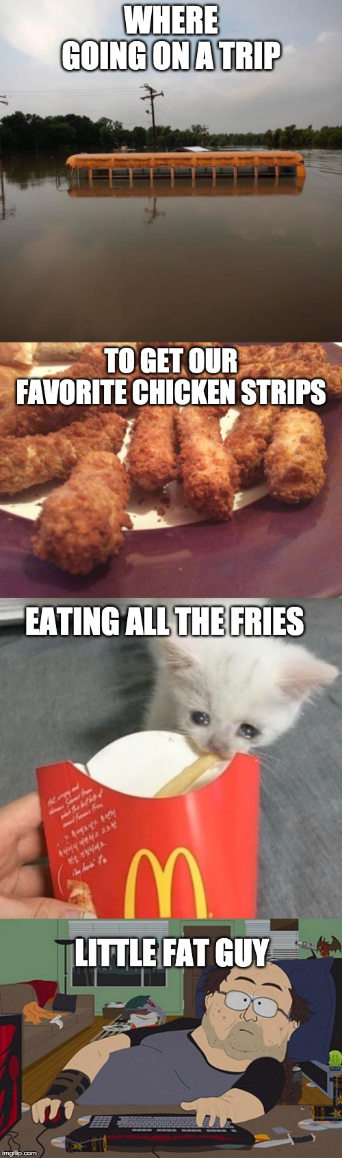 WHERE GOING ON A TRIP; TO GET OUR FAVORITE CHICKEN STRIPS; EATING ALL THE FRIES; LITTLE FAT GUY | image tagged in flooded school bus,chicken strips,fat guy south park computer,sad kitten eats fries | made w/ Imgflip meme maker