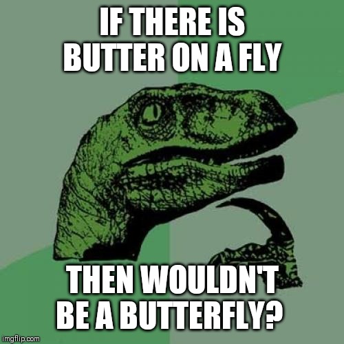 Philosoraptor | IF THERE IS BUTTER ON A FLY; THEN WOULDN'T BE A BUTTERFLY? | image tagged in memes,philosoraptor | made w/ Imgflip meme maker