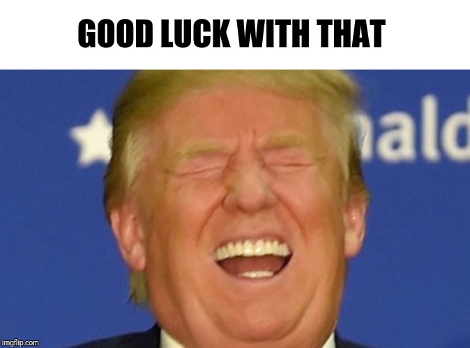 Trump laughing | GOOD LUCK WITH THAT | image tagged in trump laughing | made w/ Imgflip meme maker