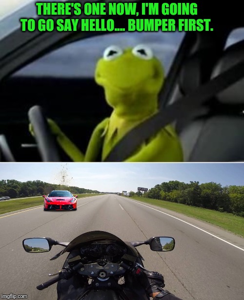 THERE'S ONE NOW, I'M GOING TO GO SAY HELLO.... BUMPER FIRST. | image tagged in kermit driving | made w/ Imgflip meme maker